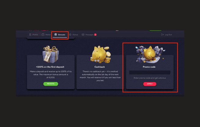 Inserting VAVADA Promo Code